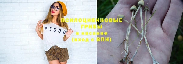 меф Осташков