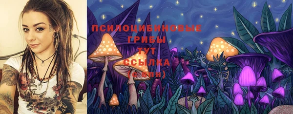 тгк Волосово