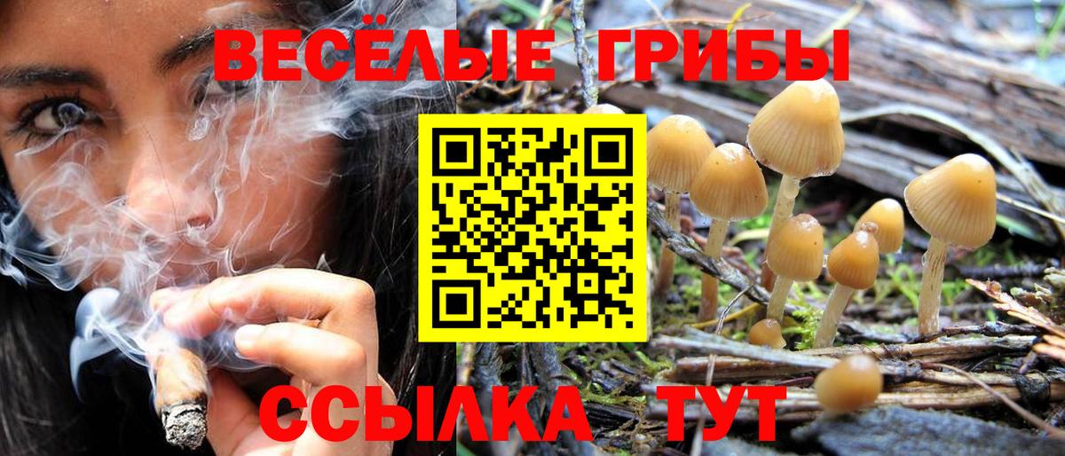 МЕФ  Ляпка  МАРИХУАНА  Гашиш  Молли  АМФ  Лениногорск  Альфа-ПВП  КОКАИН  Вход с VPN 