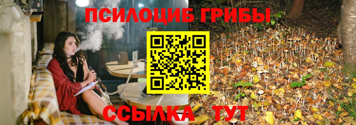 Галлюциногенные грибы MAGIC MUSHROOMS Лениногорск