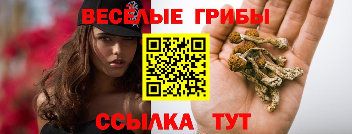Галлюциногенные грибы Magic Shrooms  Псилоцибиновые грибы мухоморы  Вход с VPN  Лениногорск 