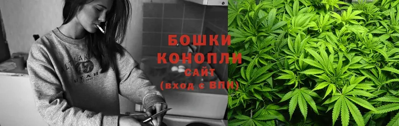 Каннабис OG Kush  Лениногорск 